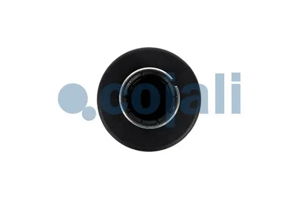 Silencer, compressed-air system