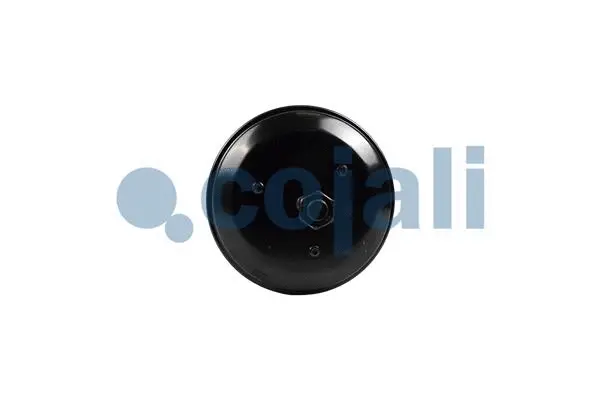 Spring-loaded Cylinder