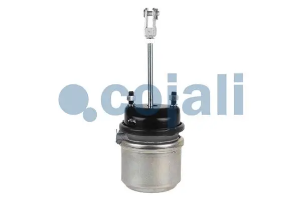 Spring-loaded Cylinder