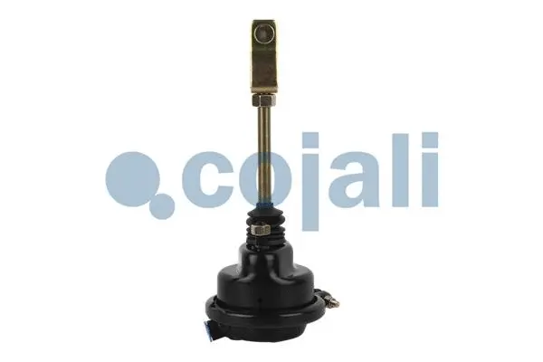 Diaphragm Brake Cylinder