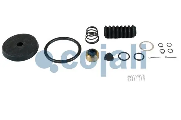 Repair Kit, brake force regulator (6012243)