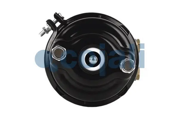 Spring-loaded Cylinder