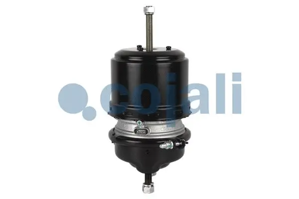 Spring-loaded Cylinder