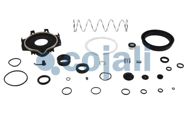 Repair Kit, clutch booster (6032120)