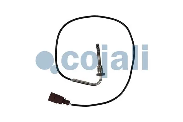 Sensor, exhaust gas temperature (2262020)