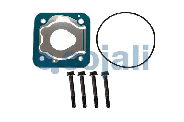 Repair kit, air compressor (25000015)