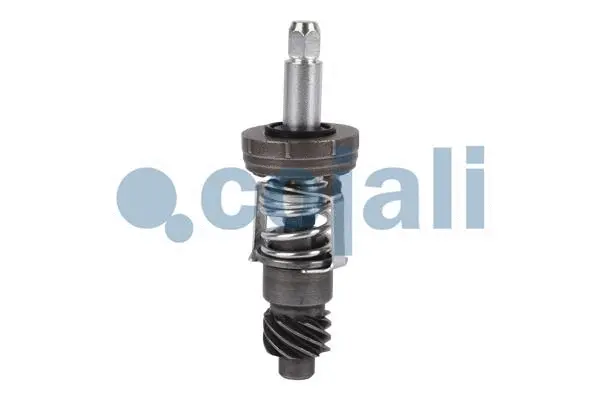 Repair Kit (6071012)