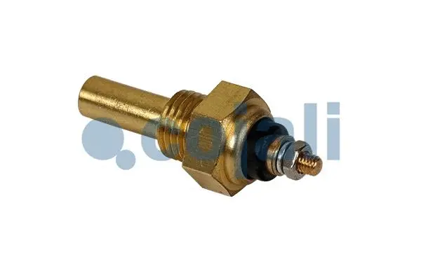 Sensor, intake air temperature