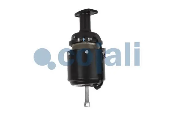 Spring-loaded Cylinder