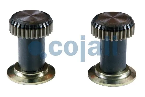 Repair Kit, brake caliper (6086505)