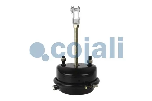 Diaphragm Brake Cylinder