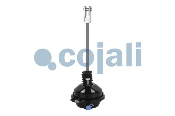 Diaphragm Brake Cylinder (2251102)