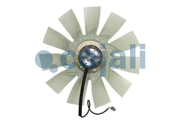 Fan, engine cooling