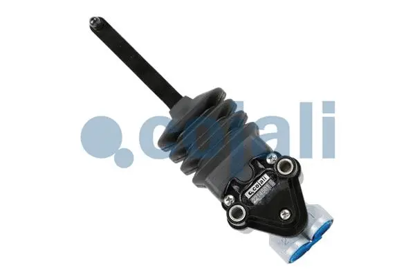 Air Suspension Valve (2214501)