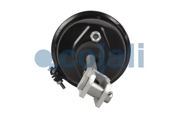 Diaphragm Brake Cylinder