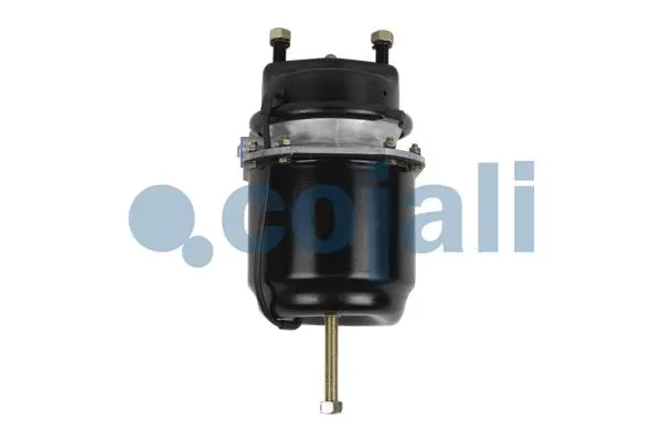 Spring-loaded Cylinder