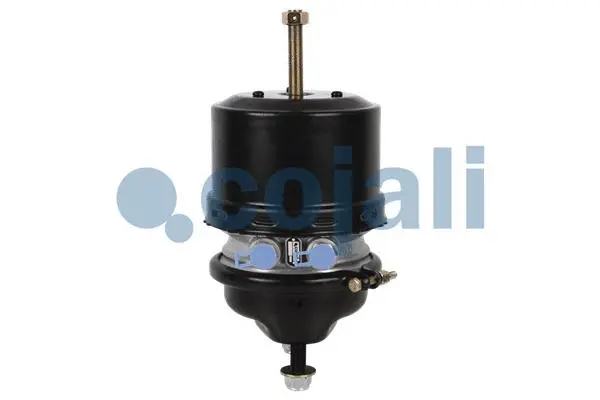 Spring-loaded Cylinder (2251511)