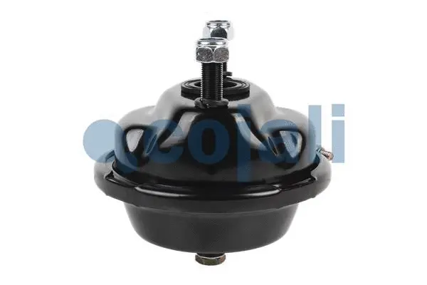 Diaphragm Brake Cylinder