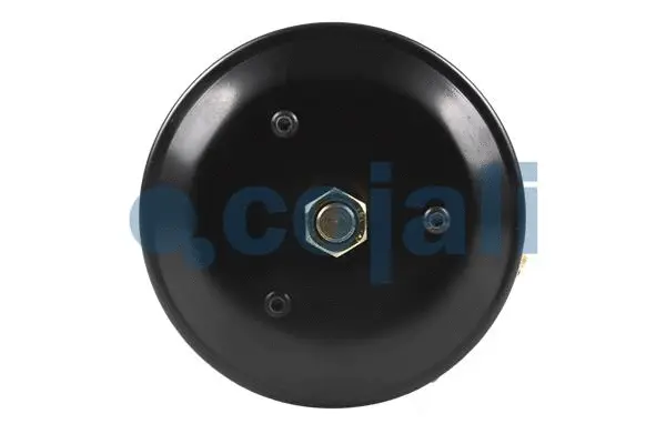 Spring-loaded Cylinder