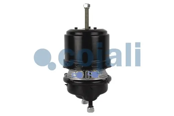 Spring-loaded Cylinder (2251514)