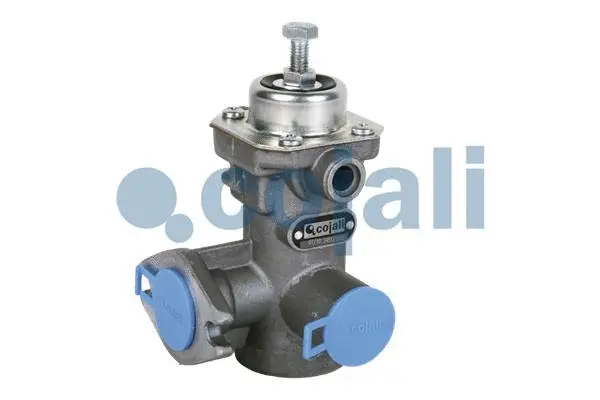 Pressure Limiting Valve (2223115)