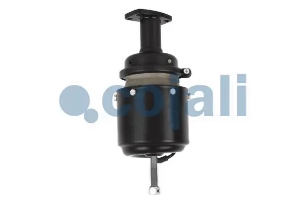 Spring-loaded Cylinder