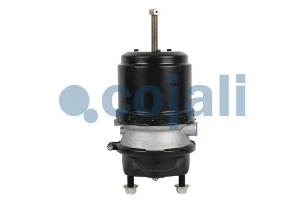 Spring-loaded Cylinder