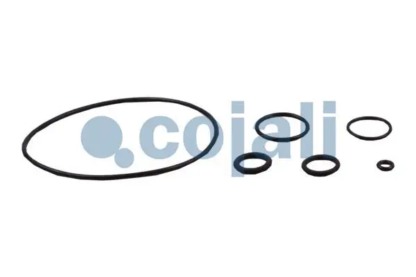 Repair Kit, clutch booster