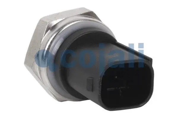 Sensor