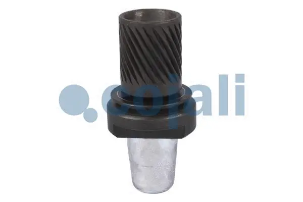 Repair Kit (6071000)