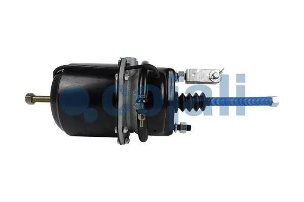 Spring-loaded Cylinder