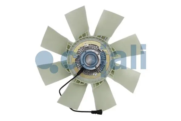 Fan, engine cooling