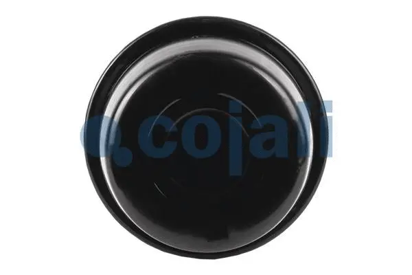 Multi-function Brake Cylinder