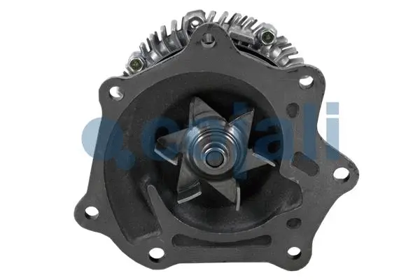 Clutch, radiator fan