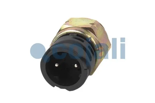 Control Switch (2260339)