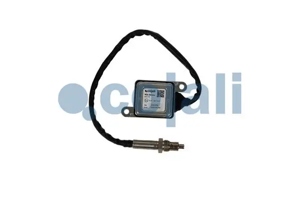 Exhaust Gas Analyzer