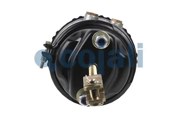 Spring-loaded Cylinder