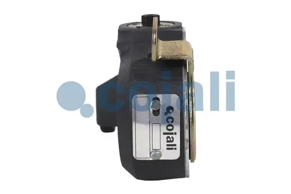 Adjuster, braking system
