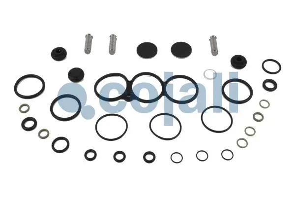 Repair Kit, air spring valve (6012281)