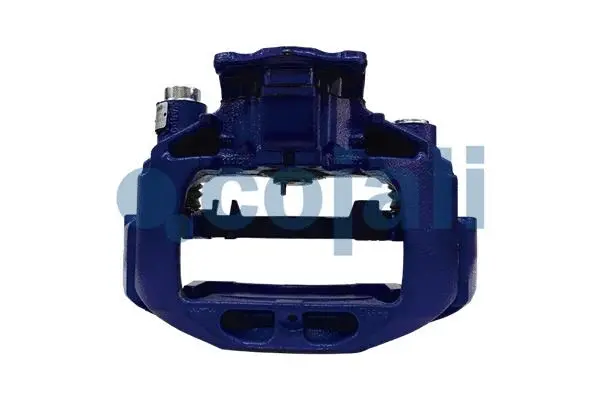 Brake Caliper (359273)