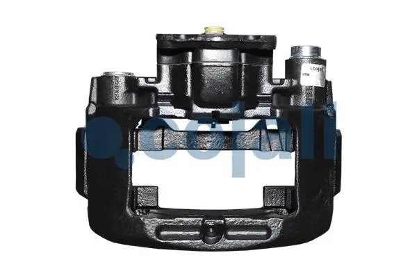 Brake Caliper (359252)