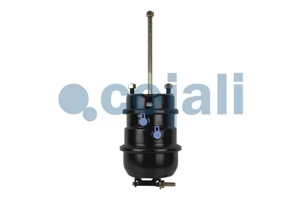 Multi-function Brake Cylinder (2251429)