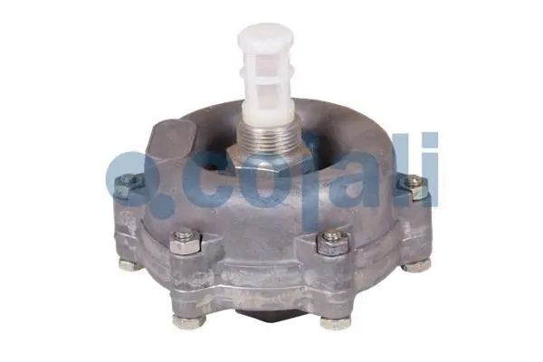 Water Drain Valve (2208401)