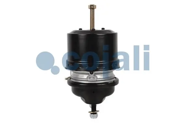 Spring-loaded Cylinder