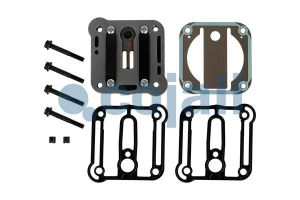 Repair kit, air compressor (25000005)
