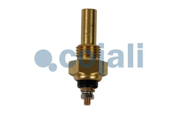 Sensor, intake air temperature