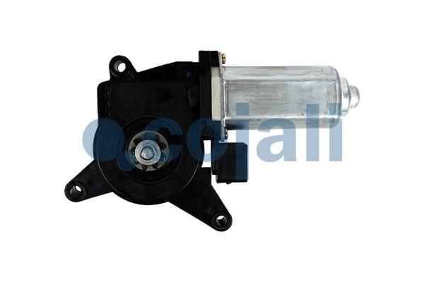 Electric Motor, window regulator (2060024)