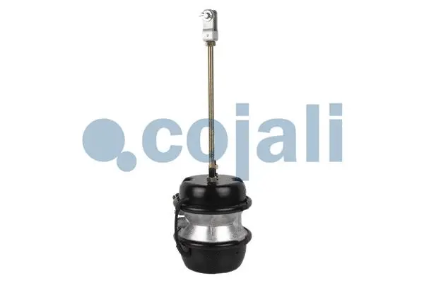 Multi-function Brake Cylinder