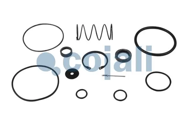 Repair Kit, relay valve (6012252)