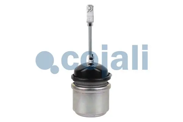 Spring-loaded Cylinder